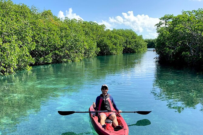 Paddleboard Kayak Tour in Cancun - Professional Tour Guide