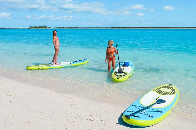 Paddleboard Mangrove Eco Tour - About Your Stay