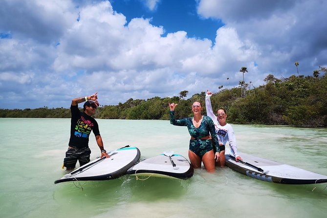 PaddleBoard Private Tour in Laguna With Photos - Additional Information