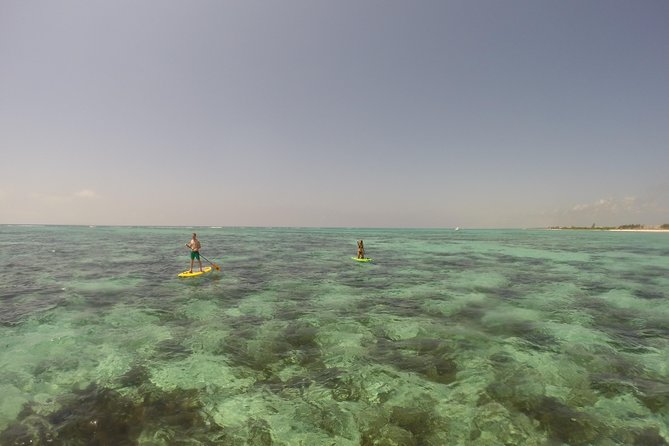 Paddleboard Rentals 3, 5 , 7 Days - Tour Features and Requirements