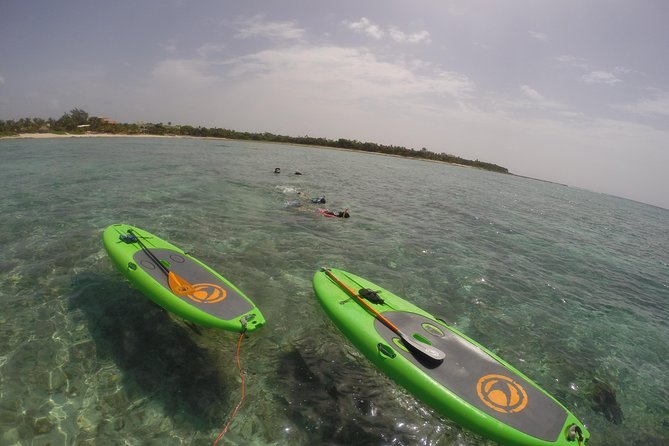 Paddleboard Rentals 3, 5 , 7 Days - Customer Reviews and Ratings