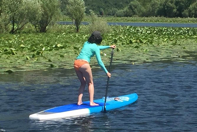 Paddleboard (SUP) Tour on Crnojevic River to Skadar Lake - Highlights of Crnojevic River