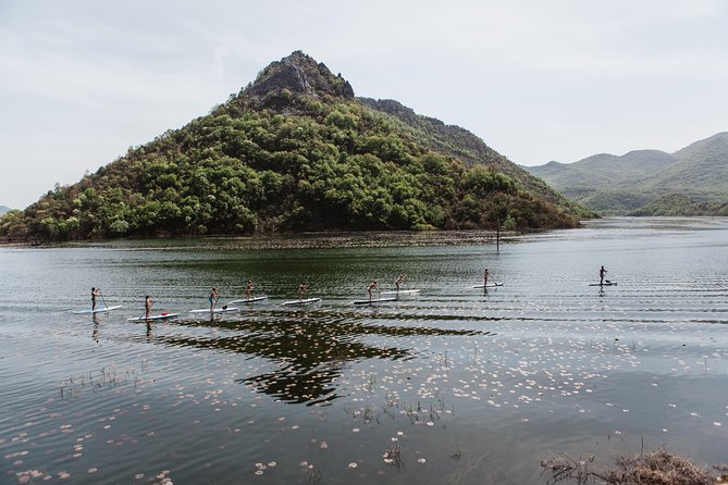 Paddleboard (SUP) Tour on Crnojevic River to Skadar Lake - What to Expect During the Tour
