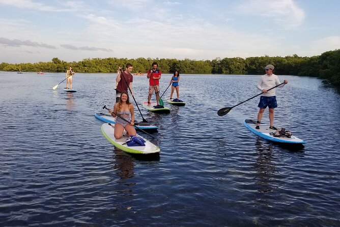 Paddleboard Tour Through Lido Mangrove Tunnels - Additional Tour Information