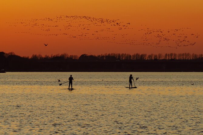 Paddleboarding in Dublin - Key Points