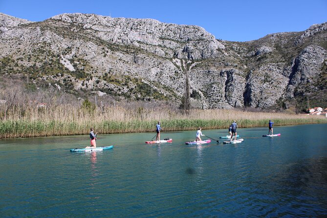 Paddleboarding on River Ombla - Paddleboarding Basics and Technique