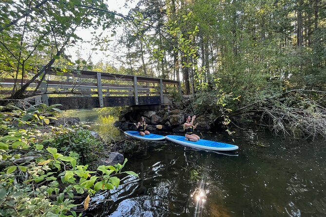 Paddling Thetis Lake - Dive into the Calm of Victoria’s Thetis Lake with a Paddleboard Tour