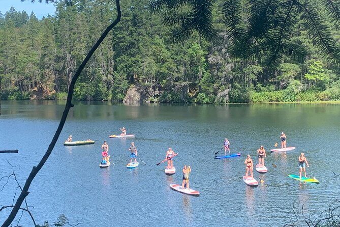 Paddling Thetis Lake - The Sum Up: Why This Tour Is Worth Considering