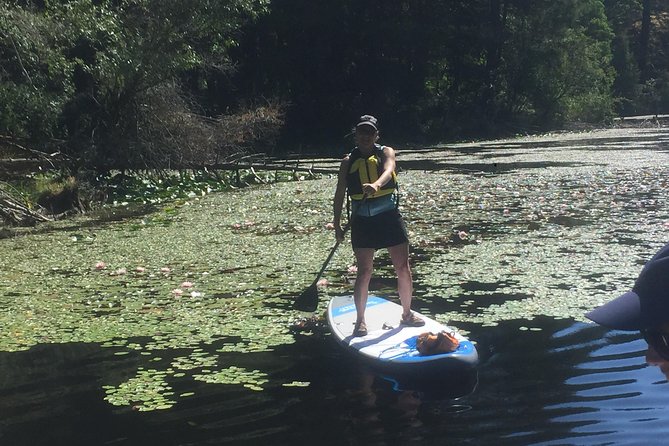 Paddling Thetis Lake - Whats Included and Extras