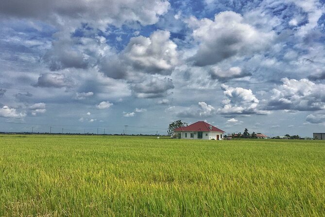Paddy Field, Fishing Village Sekinchan DAY Tour Lunch (SIC-Shared/Join In Tour) - Inclusions and Exclusions