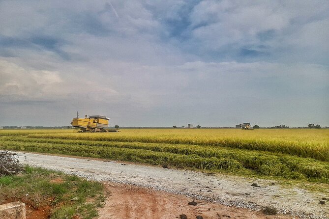 Paddy Field, Fishing Village Sekinchan DAY Tour Lunch (SIC-Shared/Join In Tour) - Meeting Point and Start Time