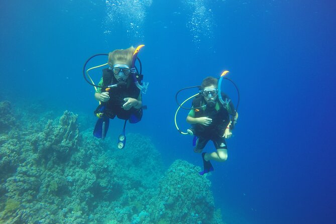 PADI 3 Days Open Water Course - Diving Experiences