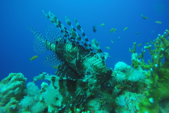 PADI 3 Days Open Water Course - Booking and Confirmation