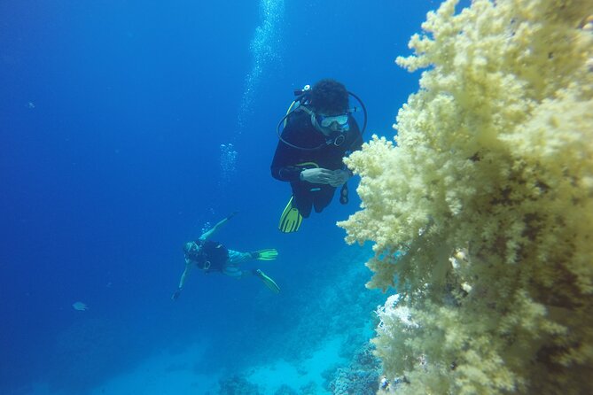 PADI 3 Days Open Water Course - Recommendations