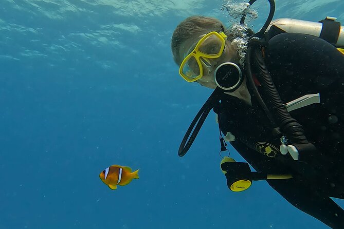 PADI Advanced Diving Course in Hurghada - Learn Scuba Diving - Excluded Costs
