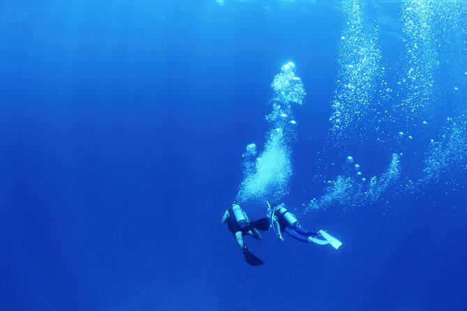 PADI Advanced Open Water Course - Instructor Professionalism and Support