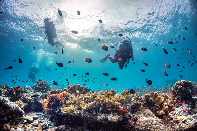 PADI Advanced Open Water Course Kota Kinabalu - Instruction Quality
