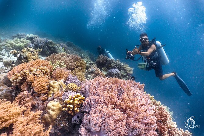 PADI Advanced Open Water Course Kota Kinabalu - Facilities and Location