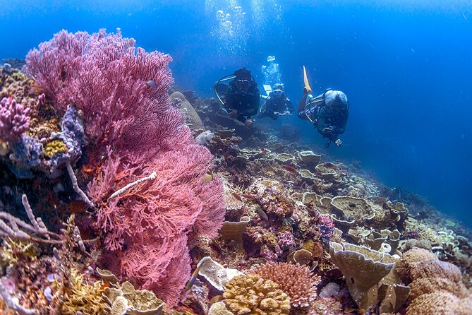 PADI Advanced Open Water Course Kota Kinabalu - Dive Schedule and Inclusions