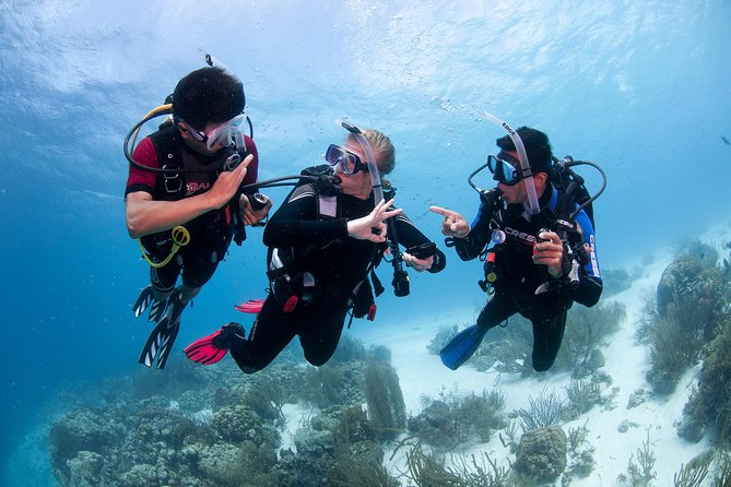 PADI Advanced Open Water Diver Course @ Anilao Batangas - Key Points