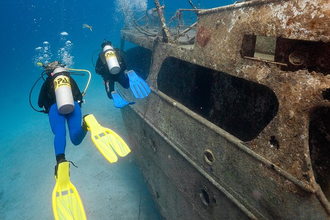 PADI Advanced Open Water Diver Course @ Anilao Batangas - Course Schedule and Accessibility