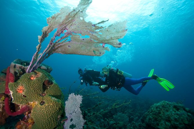 PADI Advanced Open Water Diver Course @ Anilao Batangas - Underwater Exploration