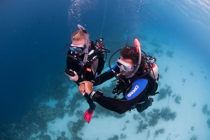 PADI Advanced Open Water Diver Course @ Anilao Batangas - Certification Requirements
