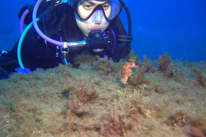 PADI Advanced Open Water Diver Course (AOWD) - Dive Activities Included