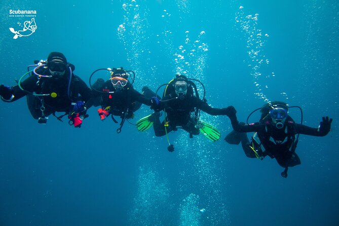 PADI Advanced Open Water Diver Course (AOWD) - Inclusions and Fees