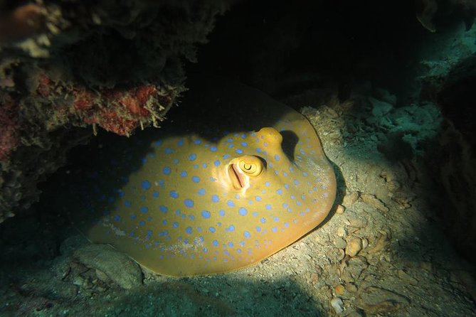 Padi Advanced Open Water Diver Courses (Start at Koh Chang) - Inclusions and Offerings