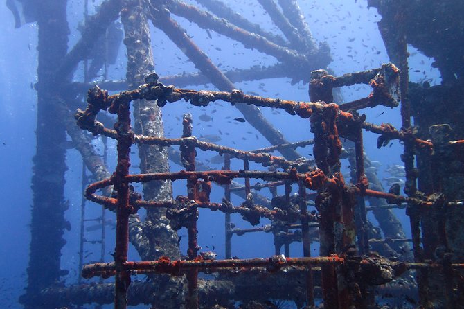 Padi Advanced Open Water Diver Courses (Start at Koh Chang) - Diving Experiences at Koh Chang