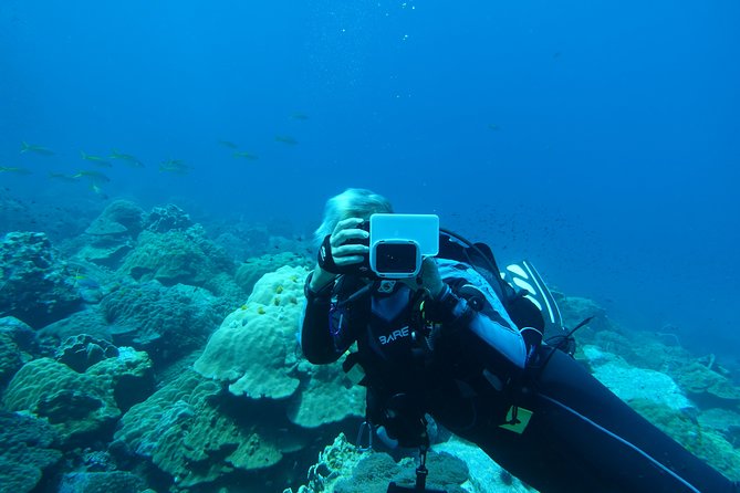 Padi Advanced Open Water Diver Courses (Start at Koh Chang) - Highlights of the PADI Course
