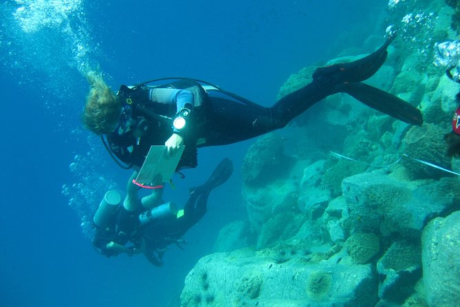 Padi Advanced Open Water Diver Courses (Start at Koh Chang) - Why Choose Koh Chang for Diving