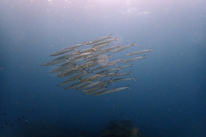 PADI Discover Scuba 3 Times Diving Phuket - Good To Know