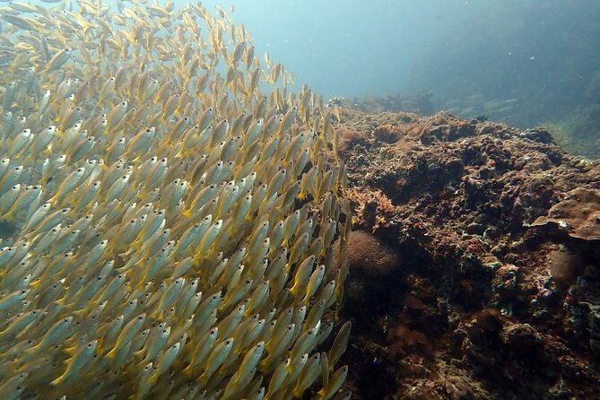 PADI Discover Scuba 3 Times Diving Phuket - Health and Safety Considerations