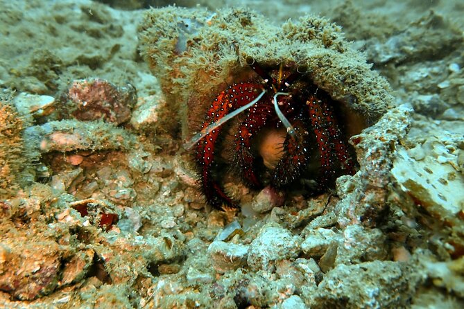 PADI Discover Scuba 3 Times Diving Phuket - Diving Locations and Destinations