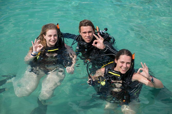 PADI Discover Scuba Dive at 5 Star Dive Center Blue Bay Dive, Curacao - The Reviews Say It All
