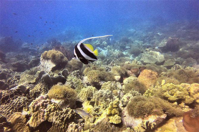 PADI Discover Scuba Dive Experience - Meeting and Pickup Locations