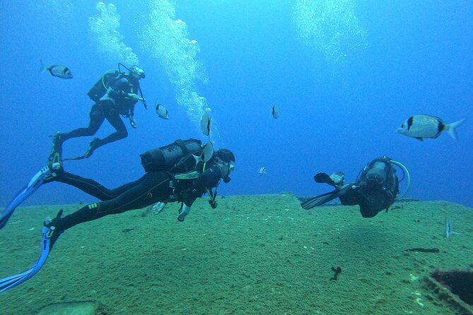 PADI Discover Scuba Diving (2 Dives & Photos) - Health and Safety Considerations