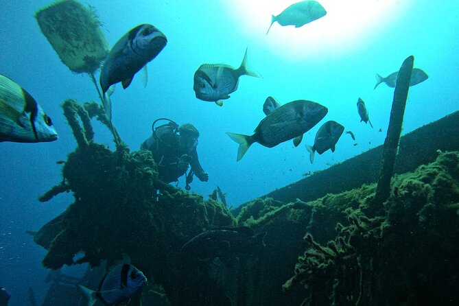 PADI Discover Scuba Diving (2 Dives & Photos) - Participant Requirements