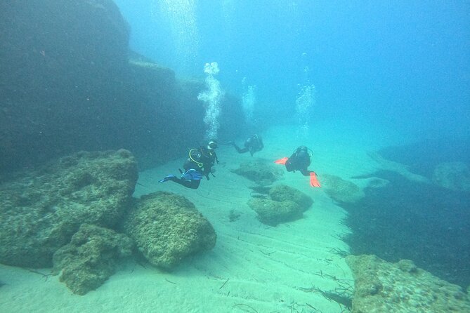 PADI Discover Scuba Diving (2 Dives & Photos) - Customer Feedback and Reviews