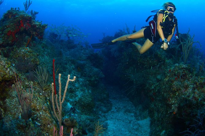 PADI Discover Scuba Diving and Day Pass in Freeport - Pool Session Highlights