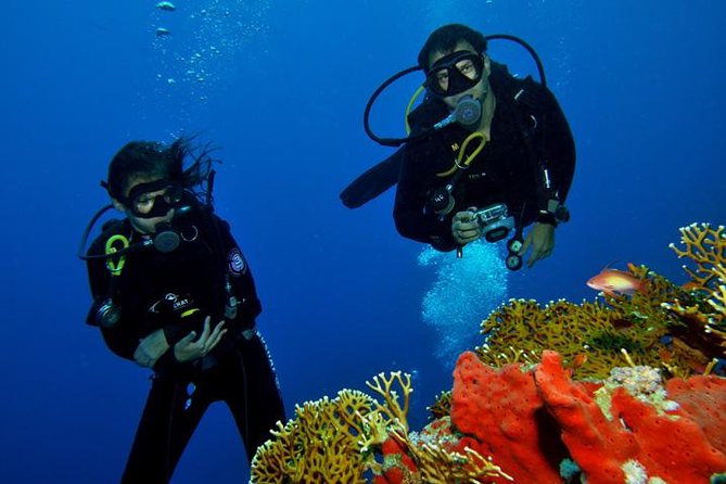 PADI Discover Scuba Diving Course in Bayahibe - Course Structure