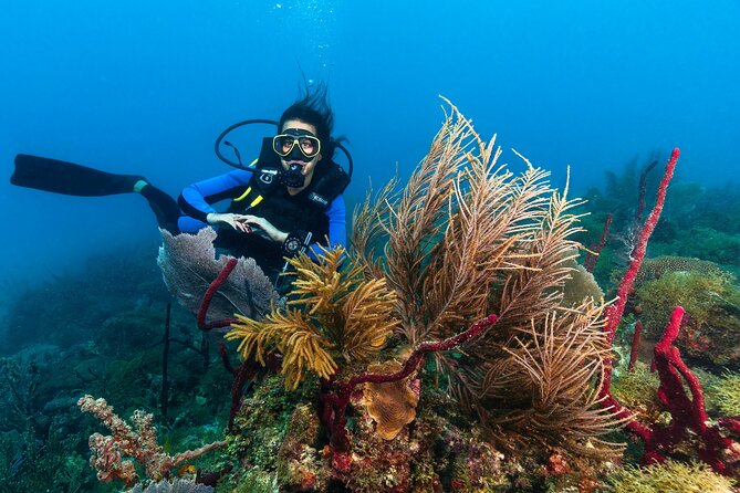 PADI Discover Scuba Diving Course in Bayahibe - Instructor and Safety