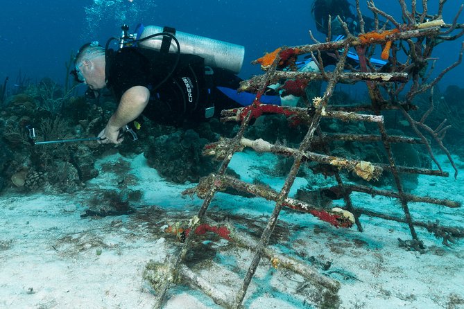PADI Discover Scuba Diving Course in Bayahibe - Participant Guidelines