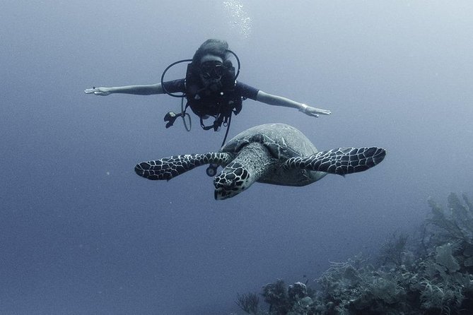 PADI Discover Scuba Diving - Equipment and Inclusions