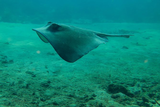 PADI Discover Scuba Diving - Health and Safety Considerations