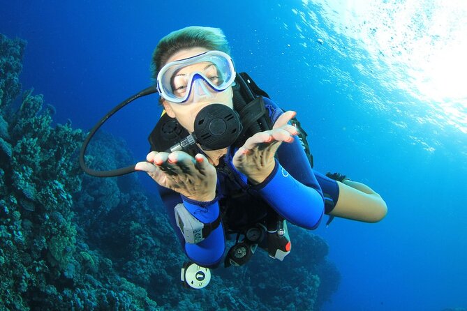 PADI Discover Scuba Diving DSD - Try-Dive Experience! - Meeting and Departure