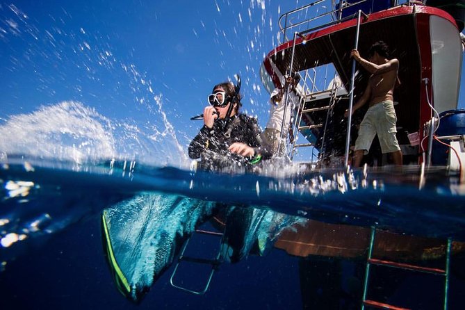 PADI Discover Scuba Diving Experience Full Day Trip - Scenic Dive Sites