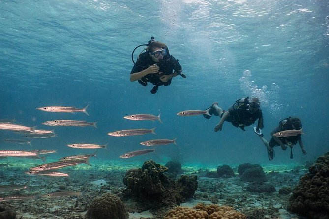 PADI Discover Scuba Diving Experience Full Day Trip - Curated Itinerary and Inclusions